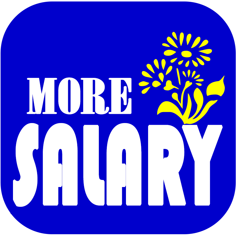 MoreSalary 工资管理系统